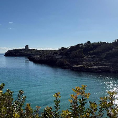 La Calma Espectacular Villa Con Jardin Y Piscina En Menorca سالغار المظهر الخارجي الصورة